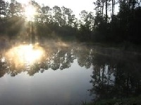 Simpson County Lake